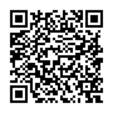 QR code for ZXX9538