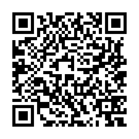 QR code for ZXZ8795