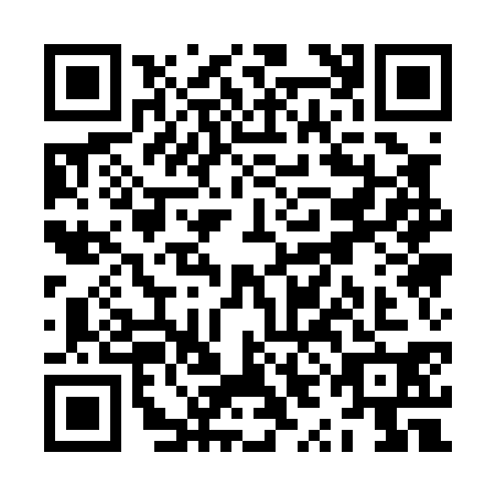 QR code for ZYA0308