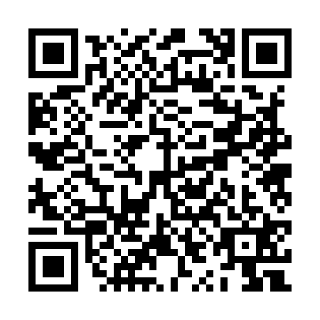 QR code for ZYB9218