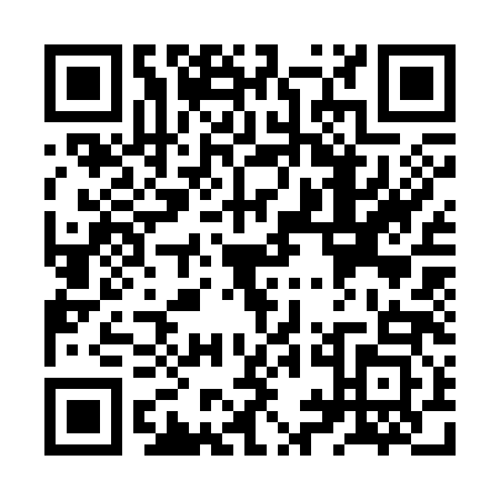 QR code for ZYC3832