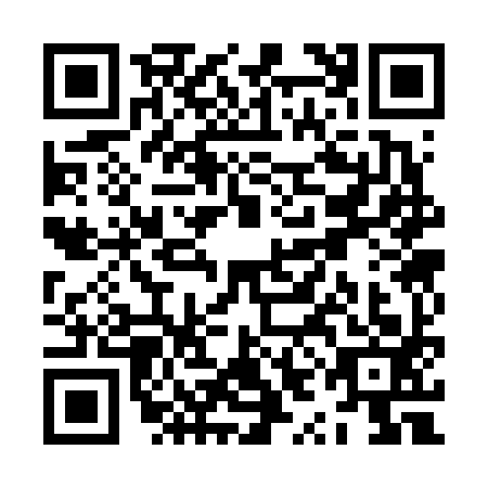 QR code for ZYC6935
