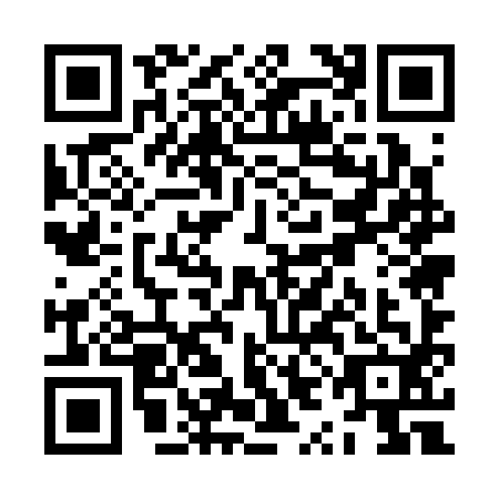 QR code for ZYE3927