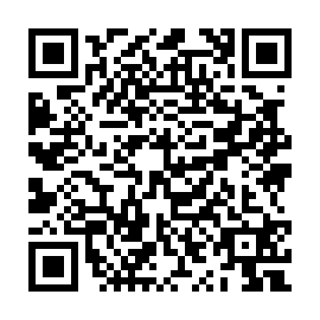 QR code for ZYI0208