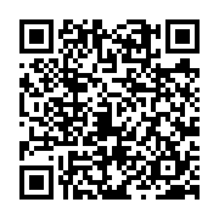 QR code for ZYL6341