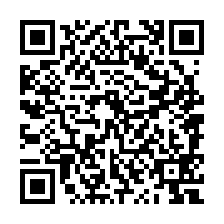 QR code for ZYN3992