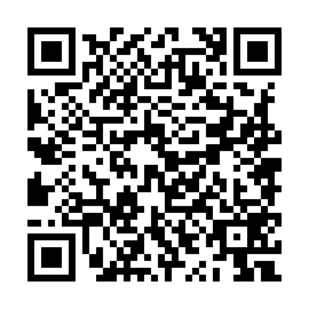 QR code for ZYN9590