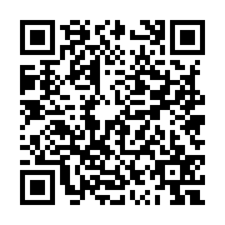 QR code for ZYU9378