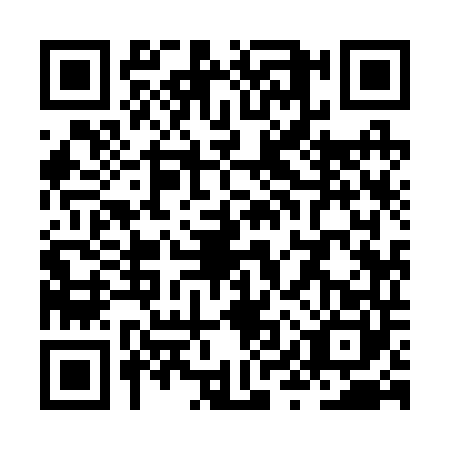 QR code for ZYY2409