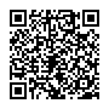 QR code for ZYZ1355