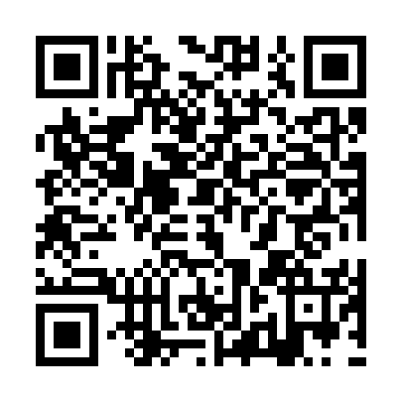 QR code for ZZH3563