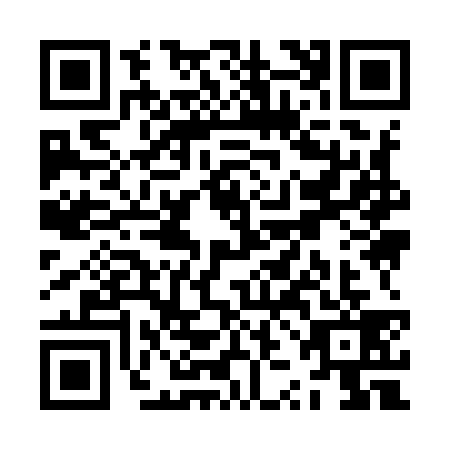 QR code for ZZI9394