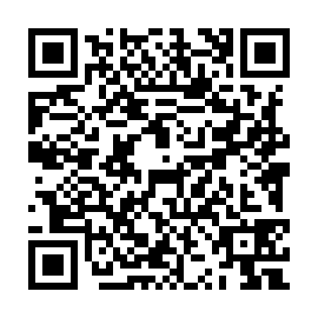 QR code for ZZL9381