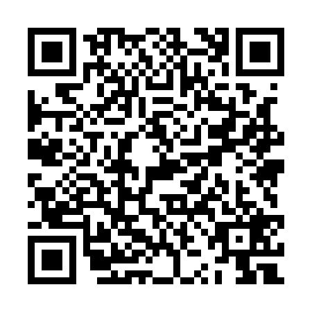 QR code for ZZM1291