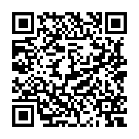 QR code for ZZM8161