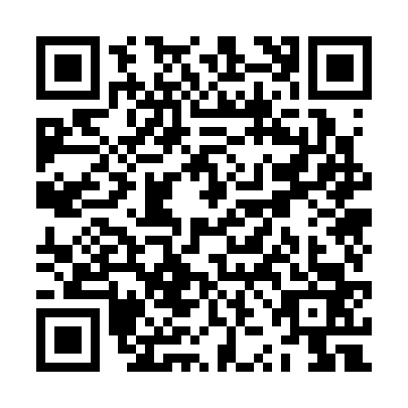 QR code for ZZO3637