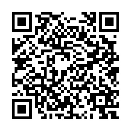 QR code for ZZP0263