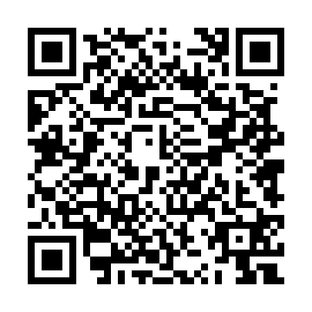 QR code for ZZT5209