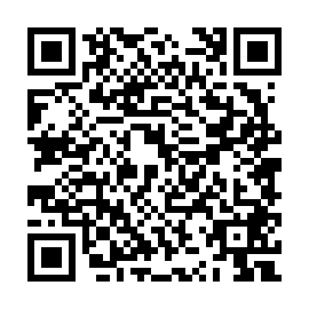 QR code for ZZT6482