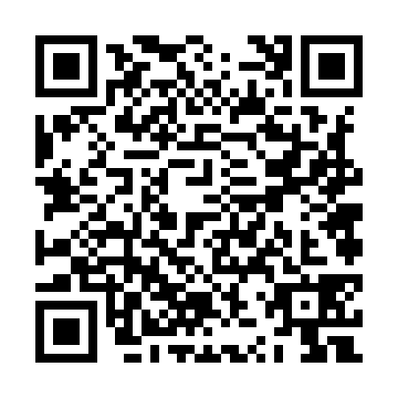 QR code for ZZV9381