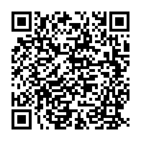 QR code for plate AAP 383