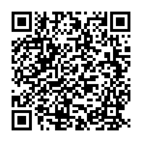 QR code for ACE 480