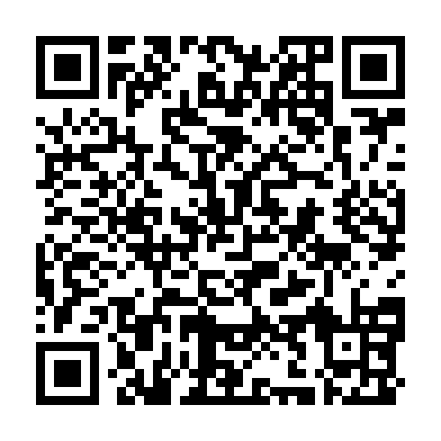 QR code for plate ACE 101