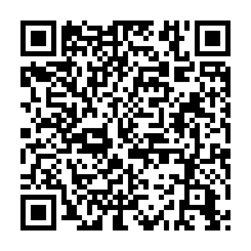 QR code for AIS 917