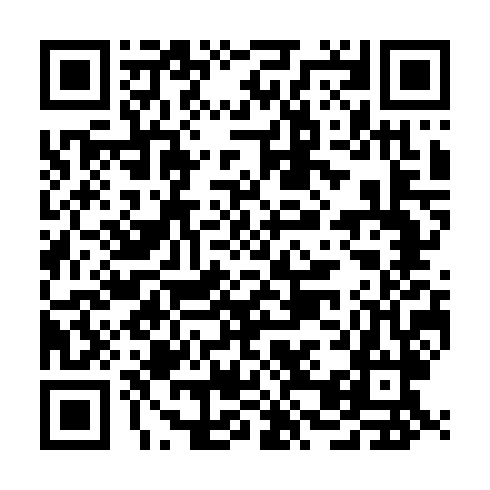 QR code for AMI 493