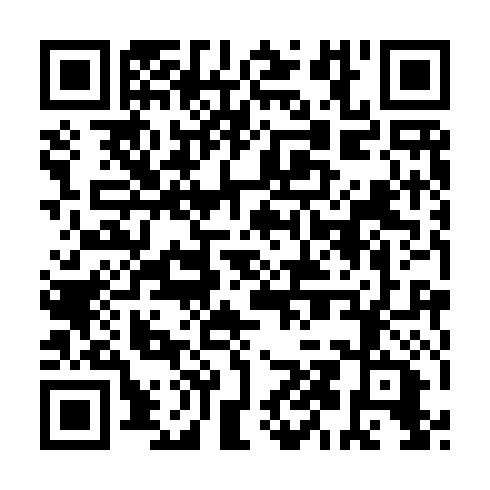 QR code for ANN 991