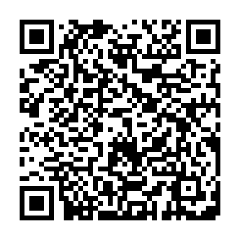 QR code for APK 696