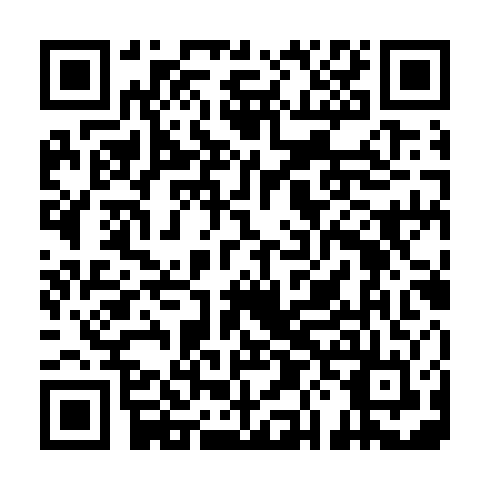 QR code for ASS271