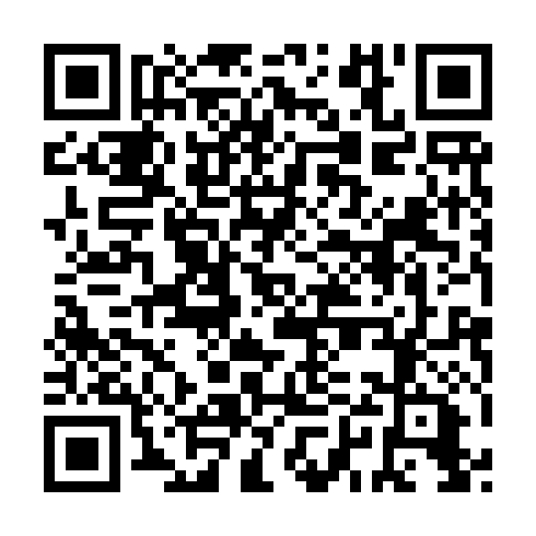 QR code for AST 919