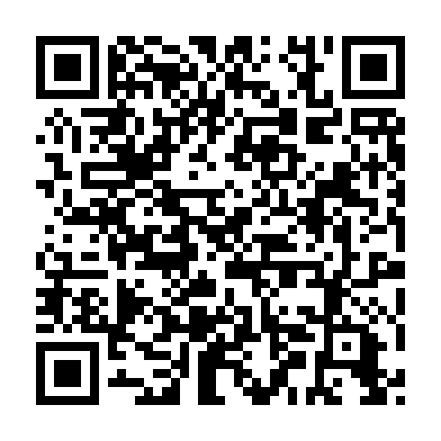 QR code for AUO541