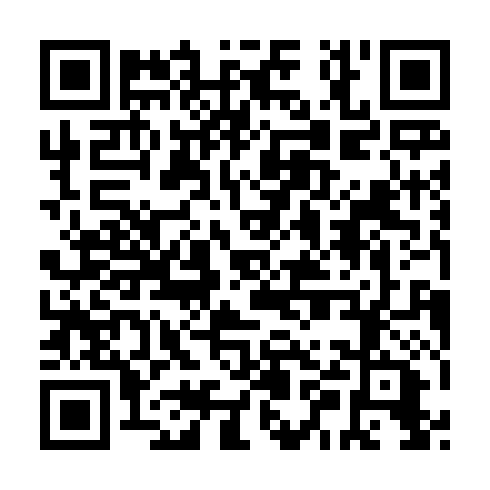 QR code for AUS 234