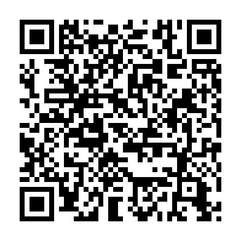 QR code for AYE 991