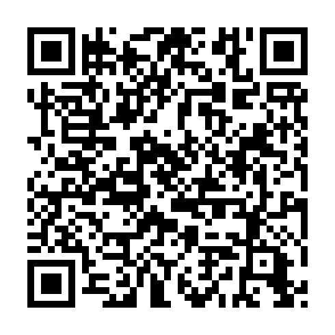 QR code for AYO 969