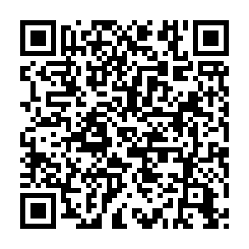 QR code for AYP 919