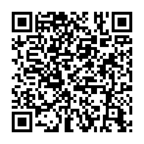 QR code for plate BAA 384