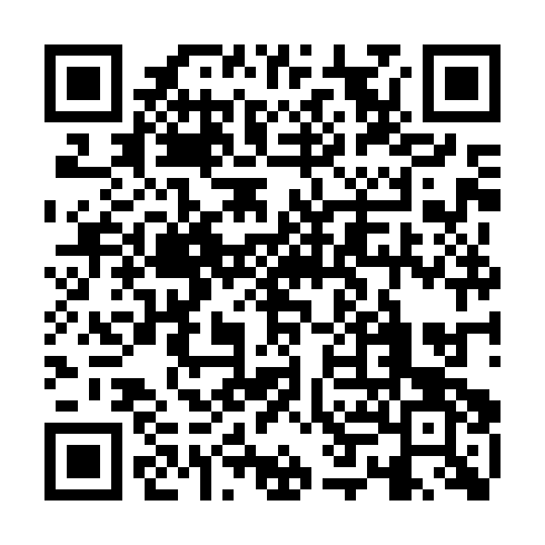 QR code for BBM295