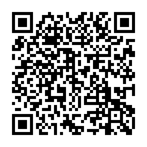 QR code for BCI 133