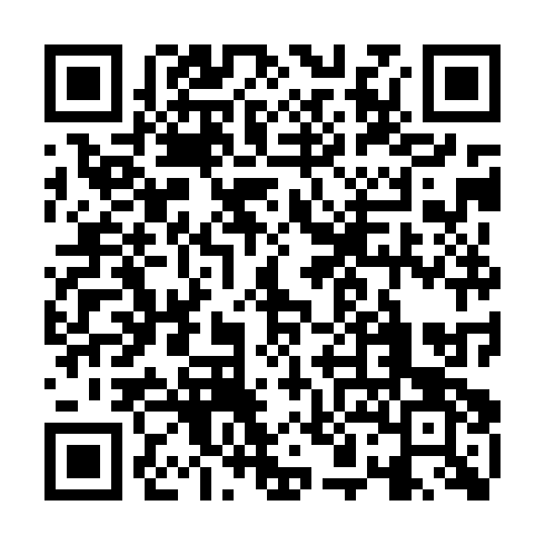 QR code for plate BFM 868