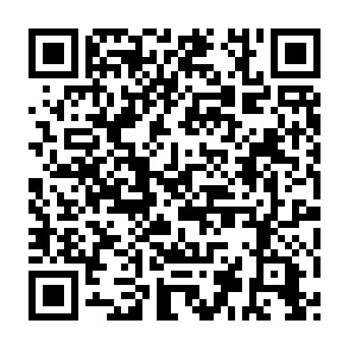 QR code for BFQ 541