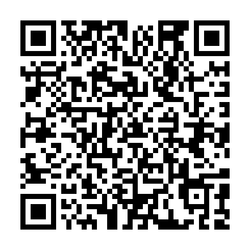 QR code for plate BGD 295