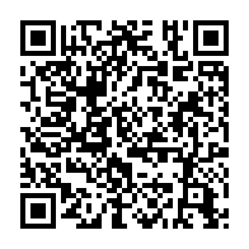 QR code for BIA 387