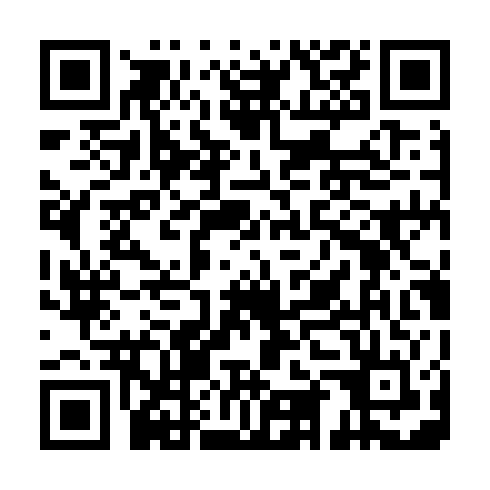 QR code for BIF 509