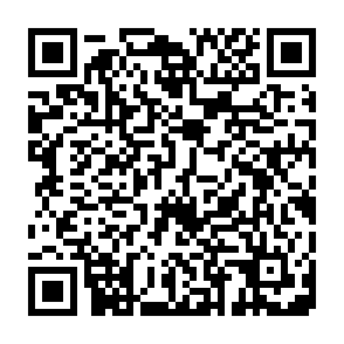 QR code for BIG311