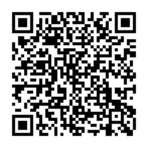 QR code for BIS 055