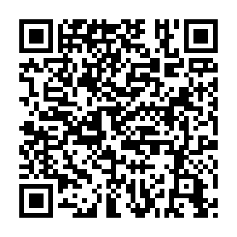 QR code for BIT 384