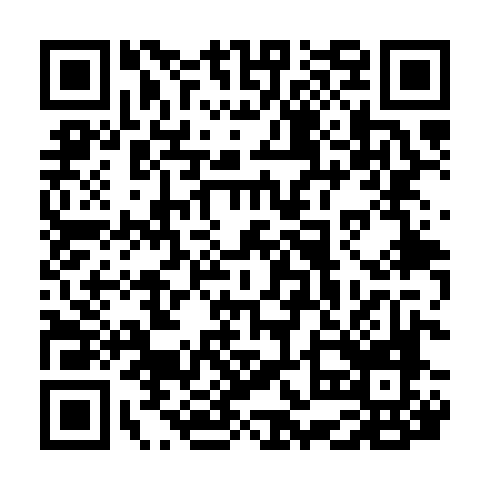 QR code for plate BLG 313